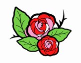 Dos rosas