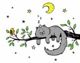 El gato y la luna