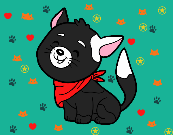 Gato con bandana