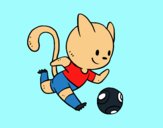 Gato jugando a fútbol