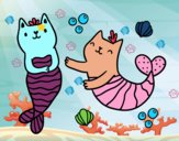 Gatos sirena