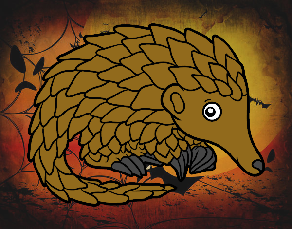 Pangolin