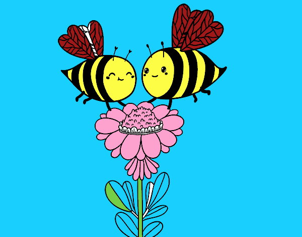 Pareja de abejas