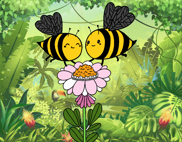 Pareja de abejas