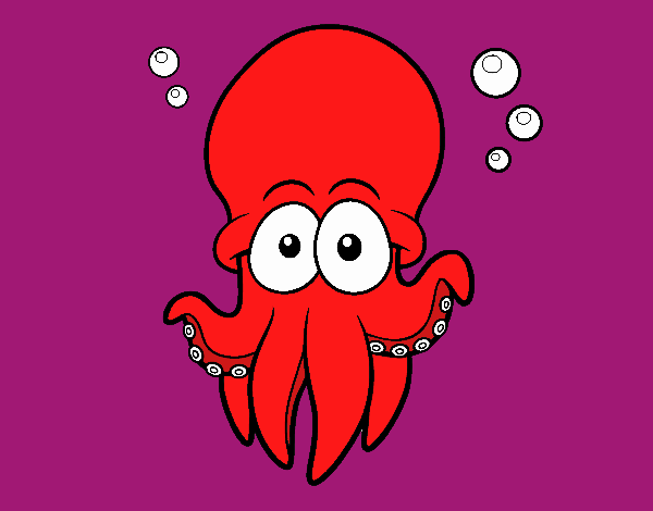 Pulpo rojo