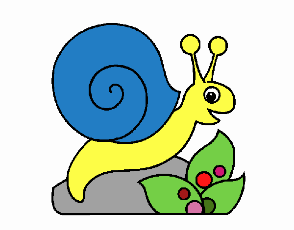 Caracol