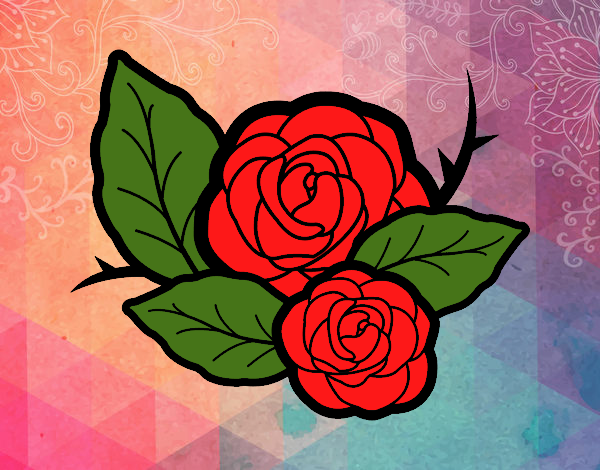 Dos rosas