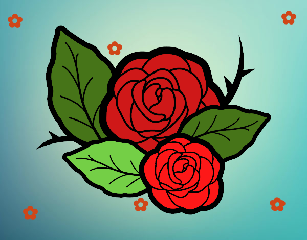 Dos rosas