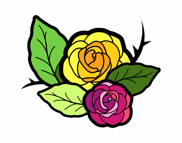 Dos rosas