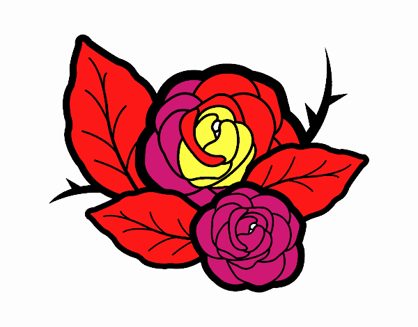 Dos rosas