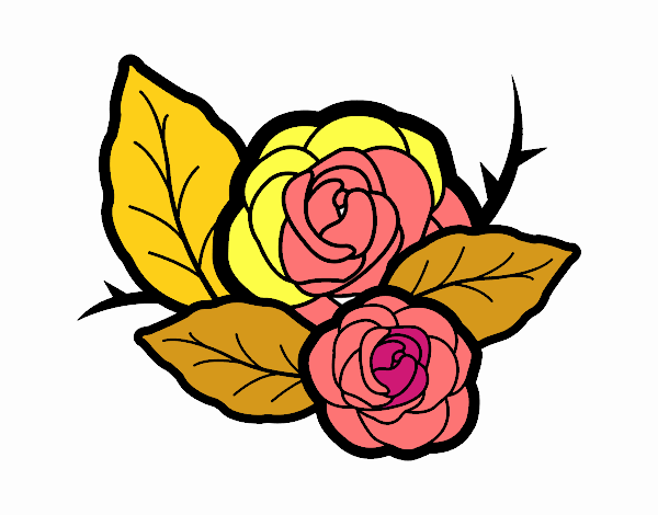 Dos rosas