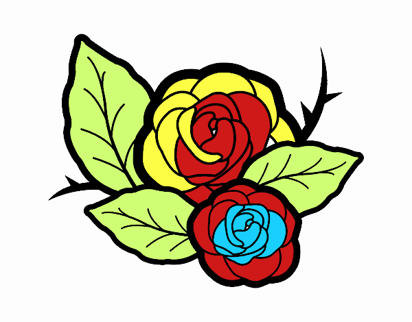 Dos rosas