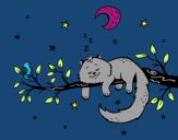 El gato y la luna