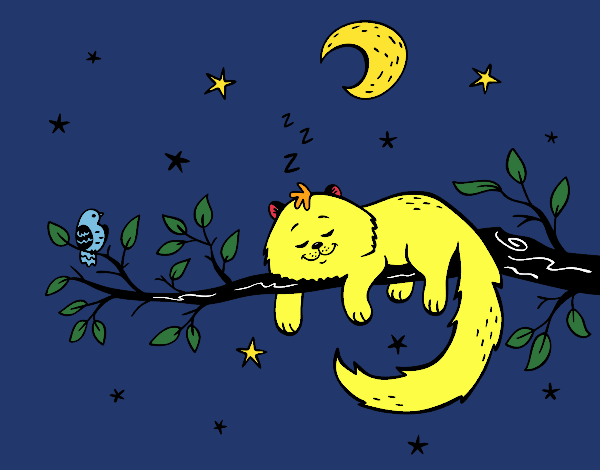 El gato y la luna