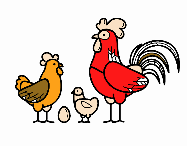 Familia gallina