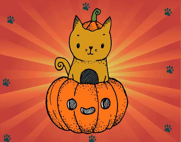 Un gatito de Halloween