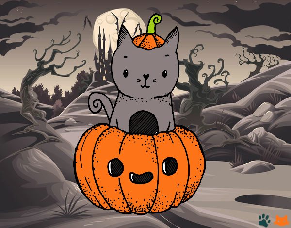 Un gatito de Halloween