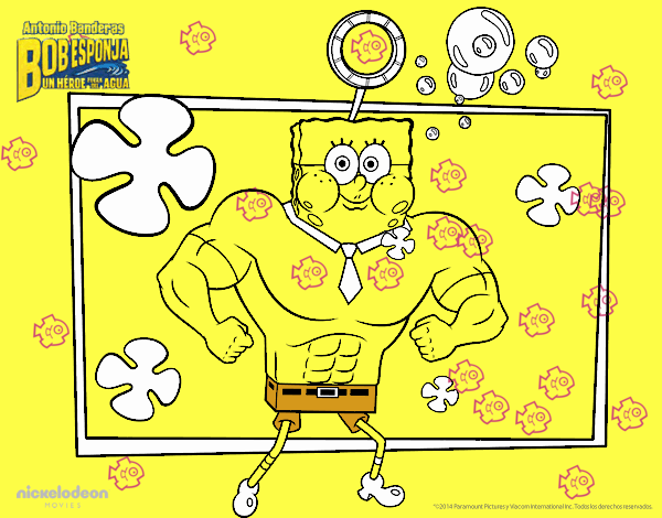 bob  esponja