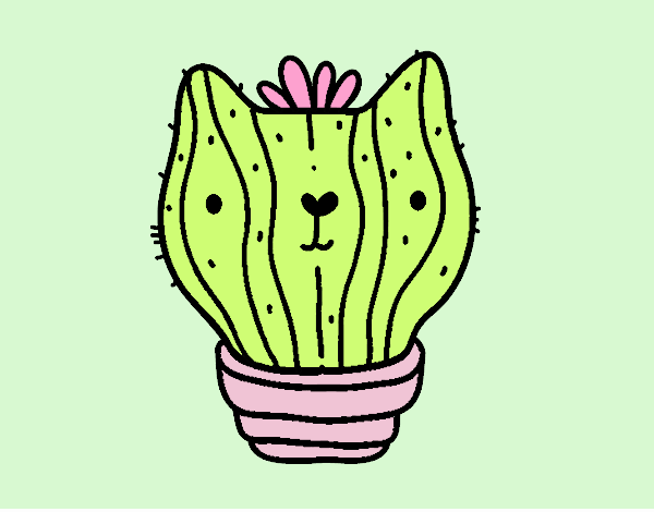 Cactus gato