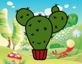 Cactus nopal