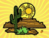 Desierto de Colorado