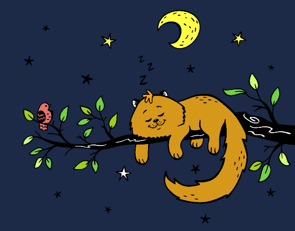 El gato y la luna