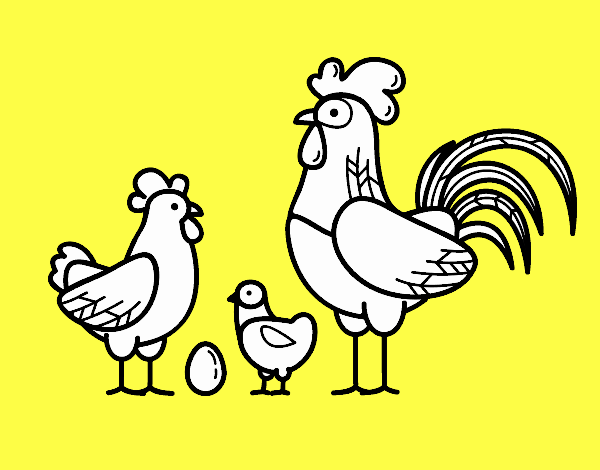 Familia gallina