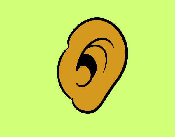 Oreja humana