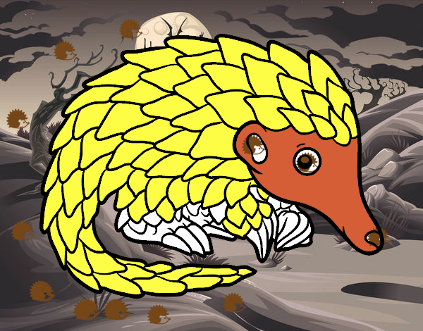 Pangolin