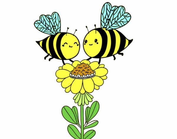 Pareja de abejas