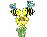 Pareja de abejas