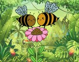 Pareja de abejas