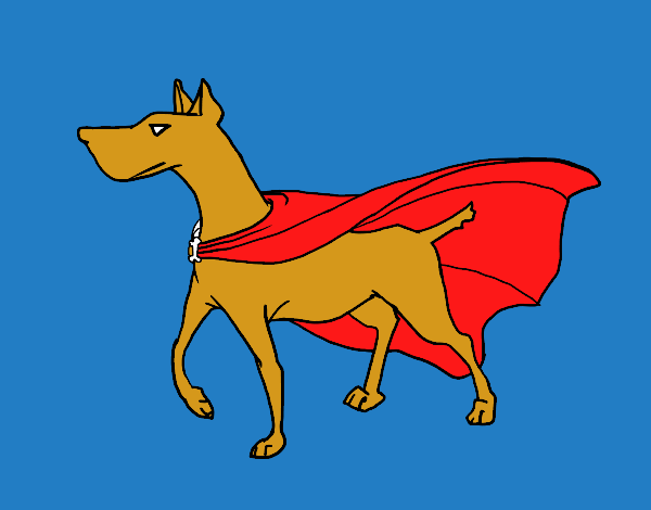 Perro superhéroe