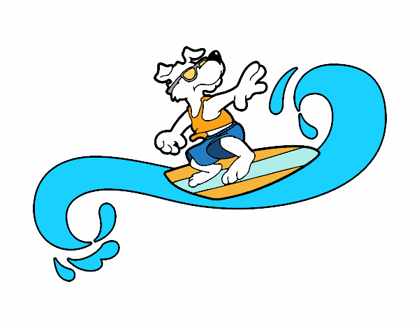 Perro surfeando