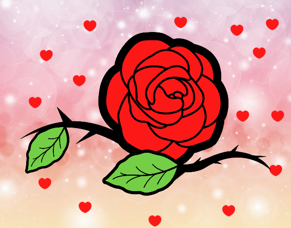 Rosas de amor
