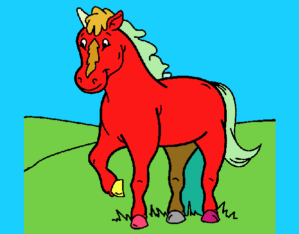 Caballo 4