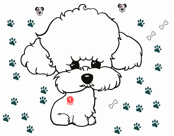 Cachorro de poodle