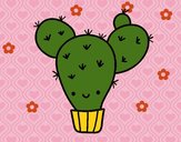 Cactus nopal