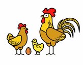 Familia gallina