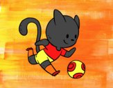 Gato jugando a fútbol