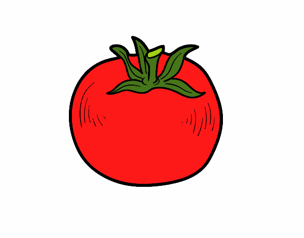 tomate