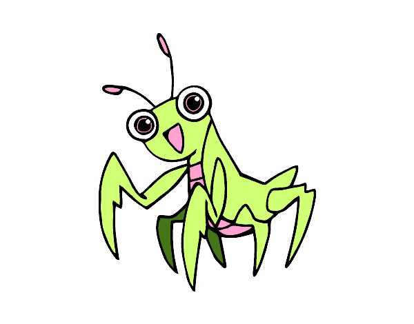 Una mantis religiosa