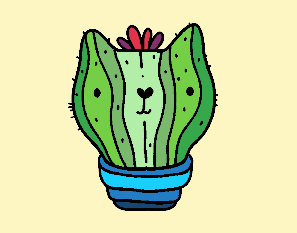 Cactus gato