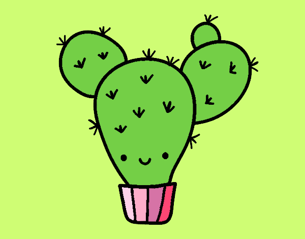 Cactus nopal