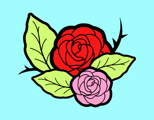 Dos rosas