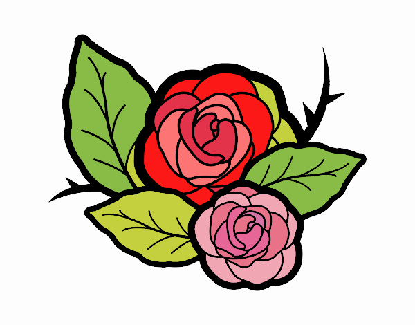 Dos rosas