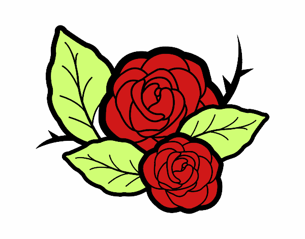 Dos rosas