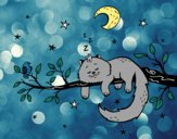 El gato y la luna