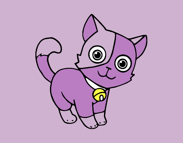 Un gatito morado nwn