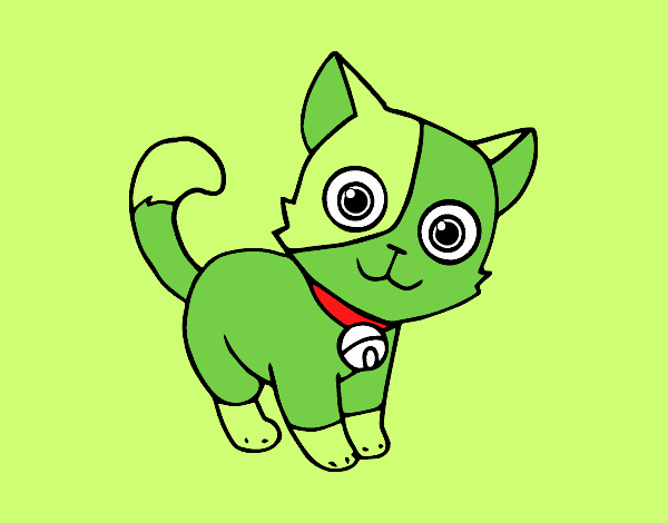 Un gatito verde nwn